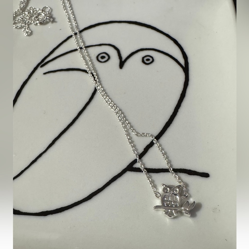 Silver Owl Pendant Necklace + Picasso Trinket Tray